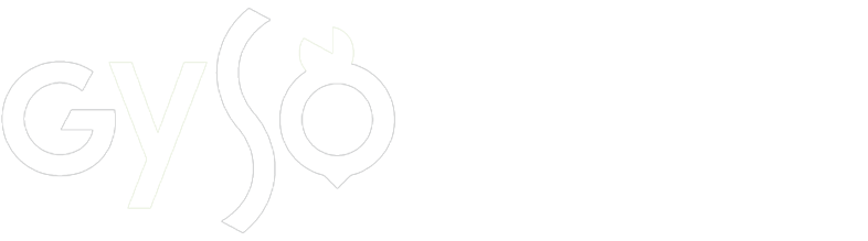 Georgia Youth Symphony Orchestras